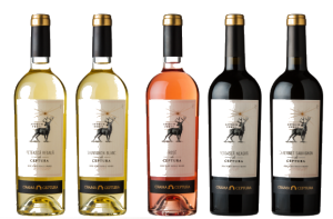 vin vmeniu bauturi botez